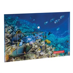 Папка-конверт с кнопкой BRAUBERG "SEA WORLD", А4, 160 мкм, до 100 листов, цветная печать, 228041 - фото 11061281