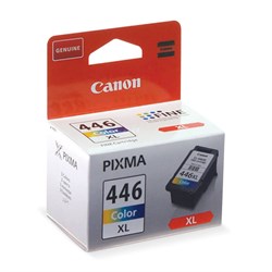 Картридж струйный CANON (CL-446XL) PIXMA MG2440/PIXMA MG2540, цветной, оригинальный, ресурс 300 стр., увеличенная емкость, 8284B001 - фото 11329597