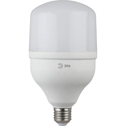 Светодиодная лампа ЭРА LED smd POWER 20W-2700-E27 - фото 11834589