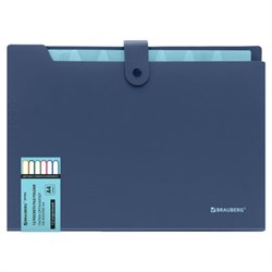 Папка-органайзер на кнопке 12 отделений, BRAUBERG "Extra", А4, синяя с голубым, 271933 - фото 12636187