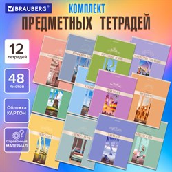 Тетради предметные, КОМПЛЕКТ 12 ПРЕДМЕТОВ, 48 л., обложка картон, BRAUBERG, &quot;DELIGHT&quot;, 404606