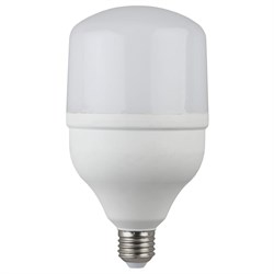 Светодиодная лампа ЭРА LED smd POWER 30W-6500-E27 20/420 - фото 13217438