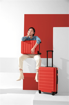 Чемодан NINETYGO Rhine Luggage  20" красный - фото 13372746