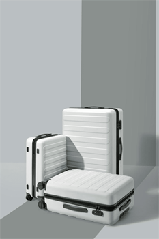 Чемодан NINETYGO Rhine Luggage  20" белый - фото 13372753