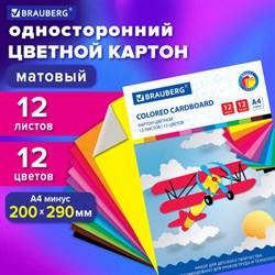 Картон цветной А4 немелованный, 12 листов 12 цветов, в папке, BRAUBERG, 200х290 мм, &quot;Самолет&quot;, 113556