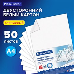 Картон белый А4 МЕЛОВАННЫЙ (белый оборот), 50 листов, в коробке, BRAUBERG, 210х297 мм, 113562 - фото 13549866