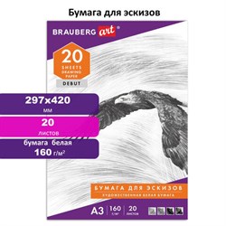 Папка для рисования БОЛЬШОГО ФОРМАТА А3, 20 л., 160 г/м2, BRAUBERG, 297х420 мм, "Орел", 125228 - фото 13550299