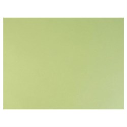 Бумага для пастели (1 лист) FABRIANO Tiziano А2+ (500х650 мм), 160 г/м2, салатовый теплый, 52551011 - фото 13550598