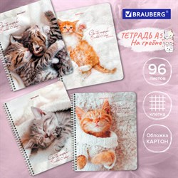 Тетрадь А5, 96 л., BRAUBERG, гребень, клетка, обложка картон, &quot;Котики&quot; (микс в спайке), 404425