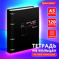 Тетрадь на кольцах А5 160х212 мм, 120 листов, картон, матовая ламинация, клетка, BRAUBERG, &quot;Просто Кот&quot;, 404723