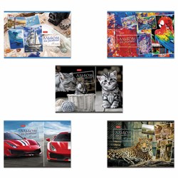 Альбом для рисования А4 48 л., скоба, обложка картон, HATBER, 205х290 мм, Ассорти, 062541, 48А4В - фото 13588195