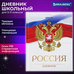 Дневник 5-11 класс 48 л., твердый, BRAUBERG, глянцевая ламинация, с подсказом, "Символика 2", 106067 - фото 13588245