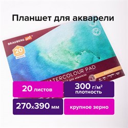 Папка для акварели/планшет, 300 г/м2, 270х390 мм, склейка, крупное зерно, 20 л., BRAUBERG ART PREMIERE, 113250 - фото 13588748