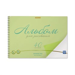 Альбом для рисования обложка пластик, А4, 40 л., гребень, 120 г/м2, перфорация, Erich Krause, "Neon", зеленый, 58605 - фото 13589177