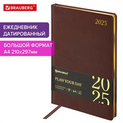 Ежедневник датированный 2025, БОЛЬШОЙ ФОРМАТ, 210х297 мм, А4, BRAUBERG "Iguana", под кожу, коричневый, 115736 - фото 13591019