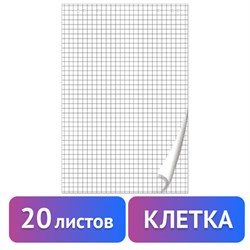 Блокнот для флипчарта ПЛОТНЫЙ 80 г/м2, BRAUBERG, 67,5х98 см, 20 листов, белый (КЛЕТКА), 128645 - фото 13594823