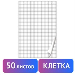 Блокнот для флипчарта ПЛОТНЫЙ 80 г/м2, BRAUBERG, 67,5х98 см, 50 листов, белый (КЛЕТКА), 128647 - фото 13594825