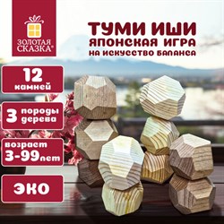 Балансир-головоломка "Башня Туми Иши", 12 деревянных камней, ЗОЛОТАЯ СКАЗКА, 665258 - фото 13622278