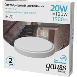 Светодиодный светильник GAUSS BASIC - фото 13669042