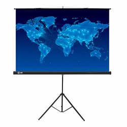 Экран Cactus Triscreen CS-PST-150x150, 150x150 см, 1:1, напольный, черный - фото 13695035