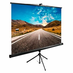 Экран Cactus TriExpert CS-PSTE-160x160-BK, 160x160 см, 1:1, напольный, черный - фото 13695036