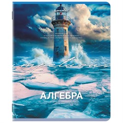 Тетрадь предметная КЛАССИКА ПРИРОДА 48 л., обложка картон, АЛГЕБРА, клетка, подсказ, BRAUBERG, 405082 - фото 13711158