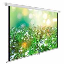 Экран Cactus WallExpert CS-PSWE-200x200-WT, 200x200 см, 1:1, настенно-потолочный, белый - фото 13744609