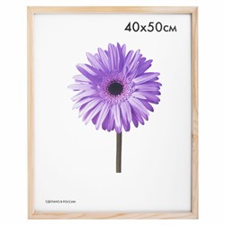 Рамка премиум 40х50 см, дерево, багет 18 мм, "Sasha", светло-коричневая, 0011-16-0000 - фото 13746952