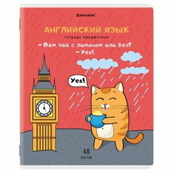 Тетрадь предметная "КОТ-ЭНТУЗИАСТ" 48 л., TWIN-лак, АНГЛИЙСКИЙ ЯЗЫК, клетка, подсказ, BRAUBERG, 404558 - фото 13747090