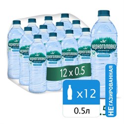 Вода негазированная питьевая ЧЕРНОГОЛОВКА, 0,5 л - фото 14225603