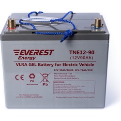 Тяговая аккумуляторная батарея EVEREST Energy Energy - фото 14696696