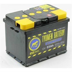 Аккумуляторная батарея TYUMEN BATTERY TNS55.0 - фото 14697754