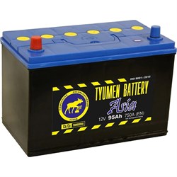 Аккумуляторная батарея TYUMEN BATTERY TNSa95.1 - фото 14698286