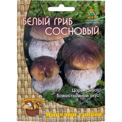 Мицелий Агрохолдинг ПОИСК Белый гриб сосновый - фото 14714030