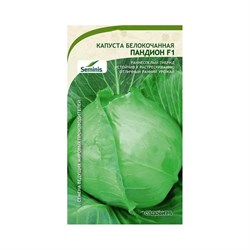 Белокочанная капуста капуста Садовита Пандион F1 - фото 14752676