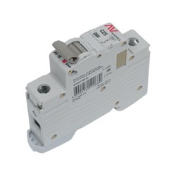 Автоматический выключатель EKF AVERES AV-10 - фото 14757710