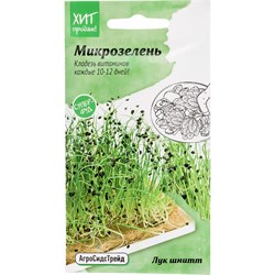 Микрозелень лук-шнитт семена Агросидстрейд АСТ 122781 - фото 14760350