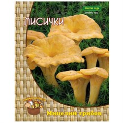 Мицелий Агрохолдинг ПОИСК Лисички - фото 14765391