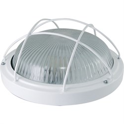 Светильник TDM ELECTRIC НПП 03-100-102 (металл, стекло, с решеткой) IP65 - фото 14767061