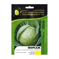 Семена ELITE PLANT-BREEDING & SEED PRODUCTION Co. ЭС мини - фото 14770454