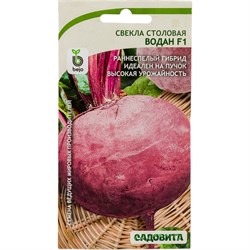 Семена Садовита 00216446 - фото 14770595