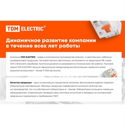 Т-образный горизонтальный ответвитель TDM ELECTRIC SQ2902-2216 - фото 14776960