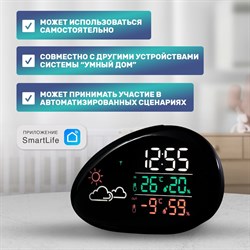 Метеостанция HALSA HLS-E-102 - фото 14793870