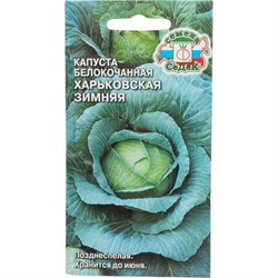Капуста СеДек Харьковская Зимняя белокочанная, позднеспелая, округло-плоская, 3.5-4.2 кг, евро, 0.5 г - фото 14795073