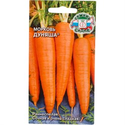 Морковь СеДек Дуняша (ран.спел.,конич.,ярк.-оранж.,14-16 см.,60-100 г.). Евро, 2 - фото 14795079