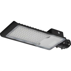 Уличный светильник ЭРА SPP-502-0-50K-100 100Вт 5000K IP65 - фото 14797345