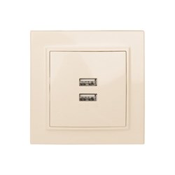 Двухместная usb розетка EKF Минск - фото 14801537