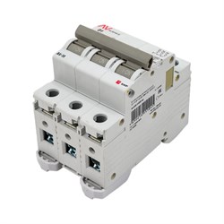 Автоматический выключатель EKF AVERES AV-10 - фото 14807412