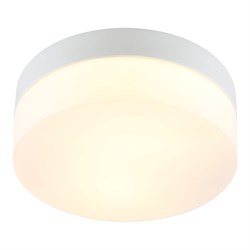 Потолочный светильник Arte Lamp A6047PL-1WH - фото 14816366