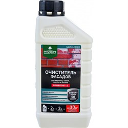 Смывка высолов PROSEPT SALT CLEANER - фото 14817937